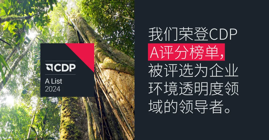 迈德米斯1.png